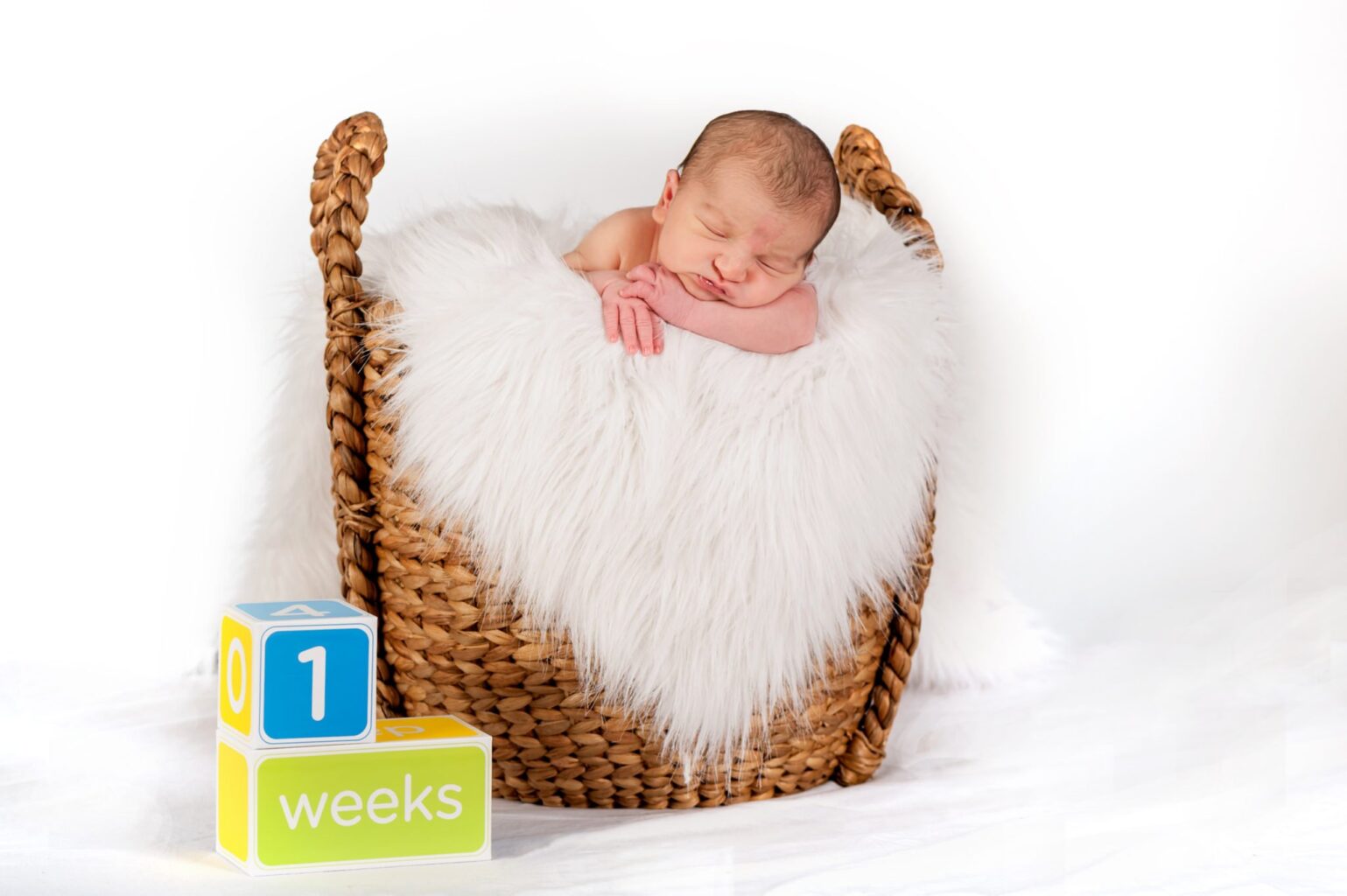 Newborn photography Halifax