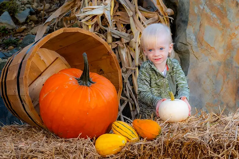 Photo of a little boy with a pumpkin in his hand next to a bale of hay. Photo taken at Halifax photography studio